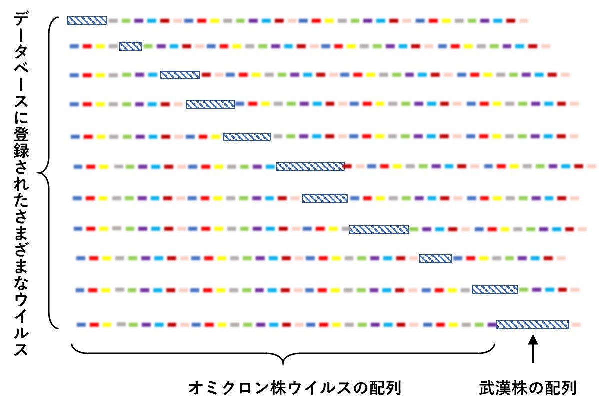 岡田正彦｜新型コロナのエビデンス